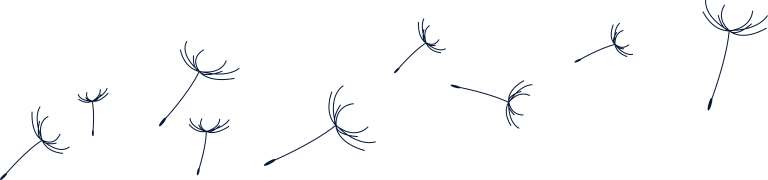 Diaspora Matters Interview: What is TurkishWIN