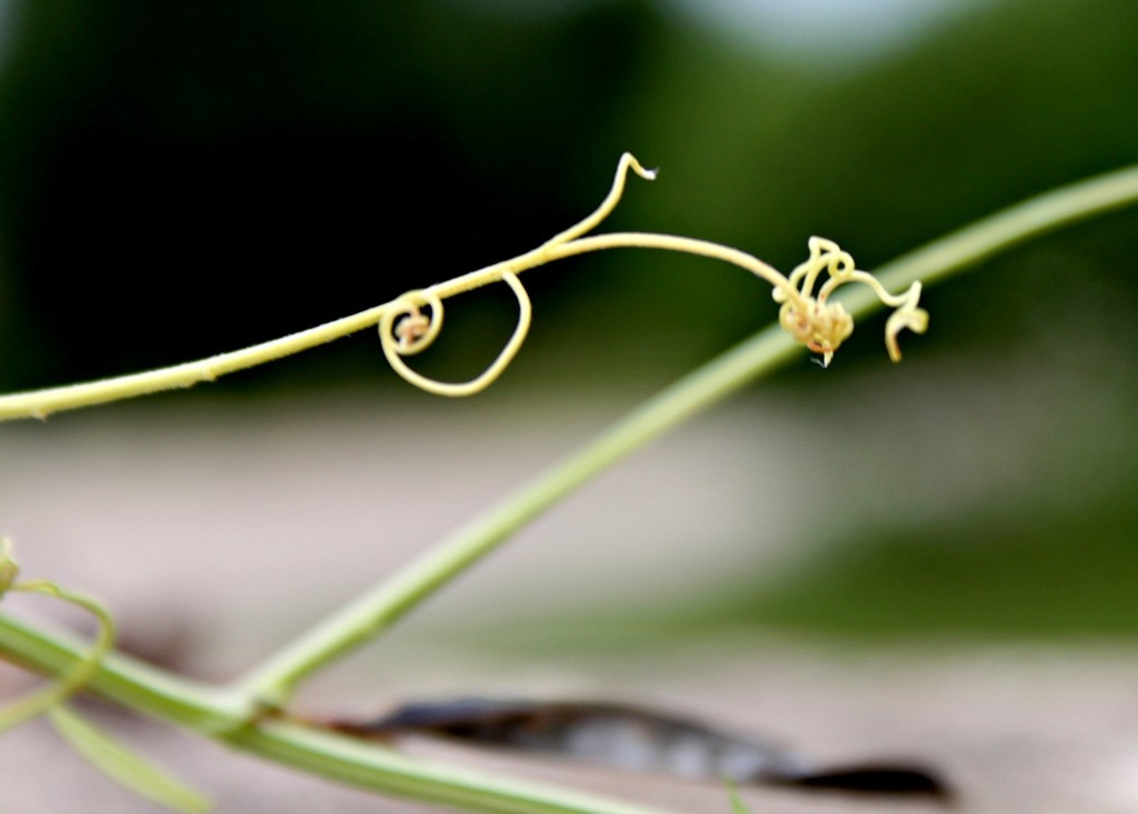 Get-Support-and-Motivation-4